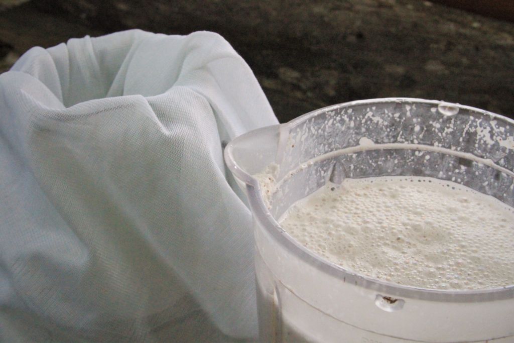 leite de coco caseiro - amorpelacomida